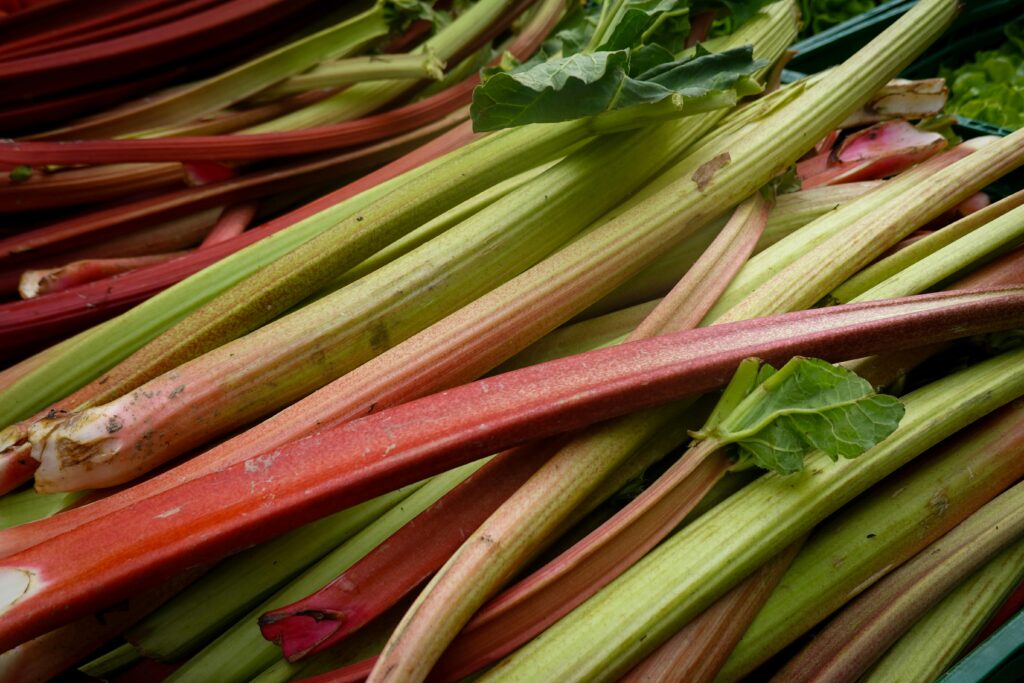 Vibrant and fresh rhubarb stalks displayed at a market, showcasing natural colors and textures.