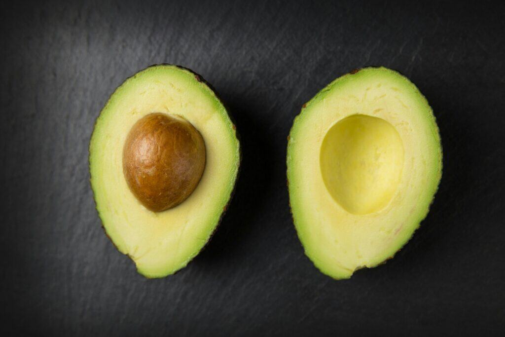 food toxicity in dogs