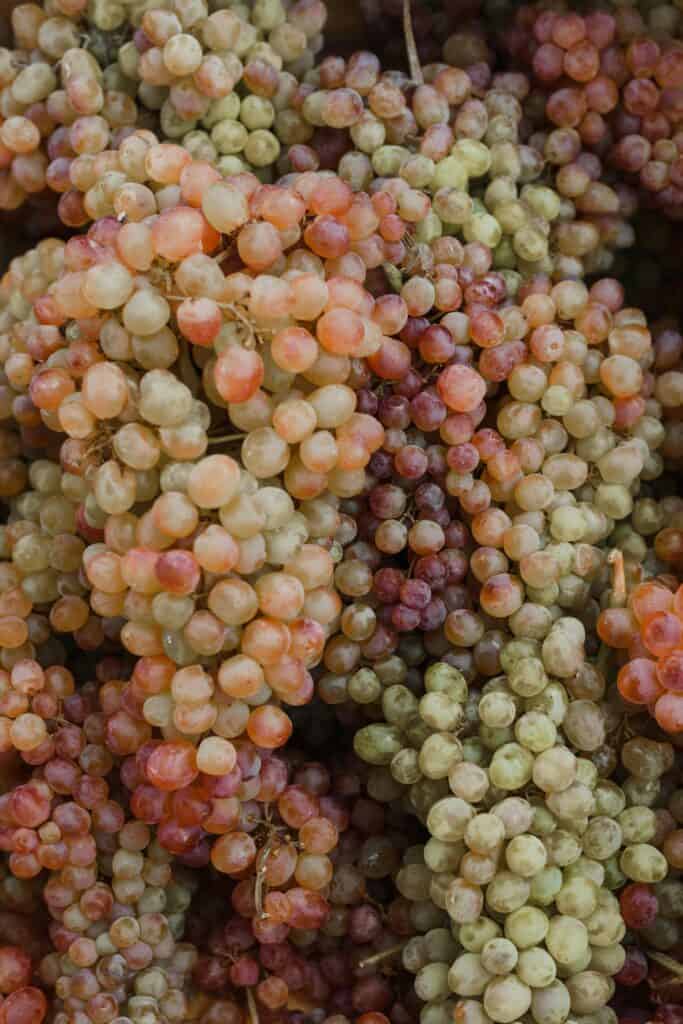 A close-up view of fresh, organic grapes in various colors, showcasing their natural beauty.