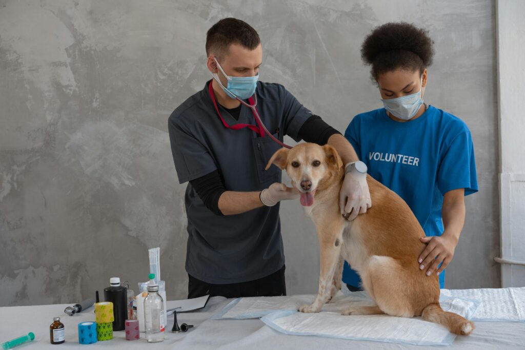 Dog Vaccination
