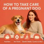 CARE OF A PREGNANT DOG