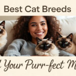 best cat breeds