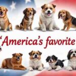 American Dog Breeds