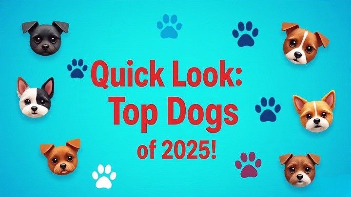 Most Popular Dog Breeds 2025
