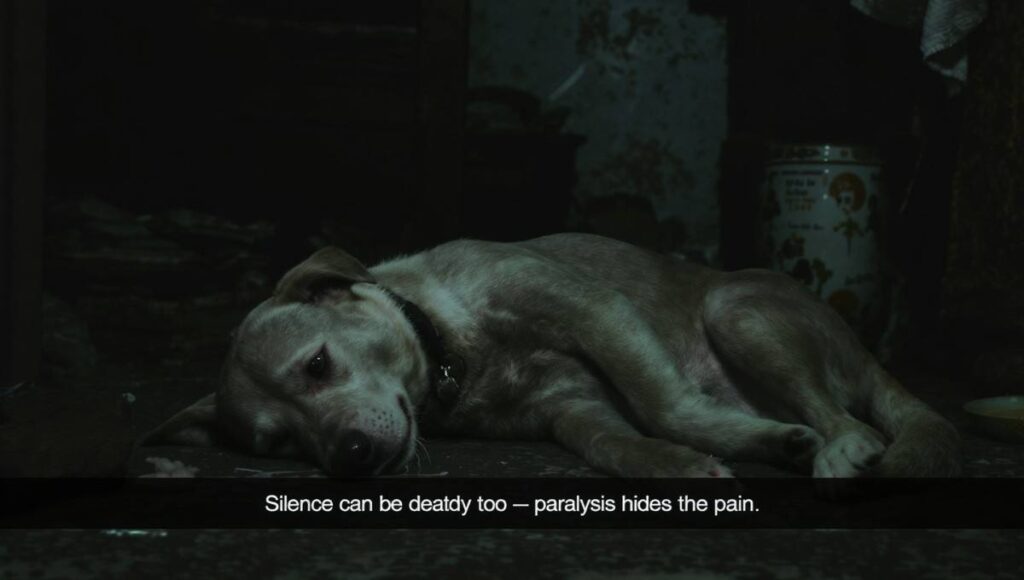 Paralytic Rabies (or “dumb rabies”)