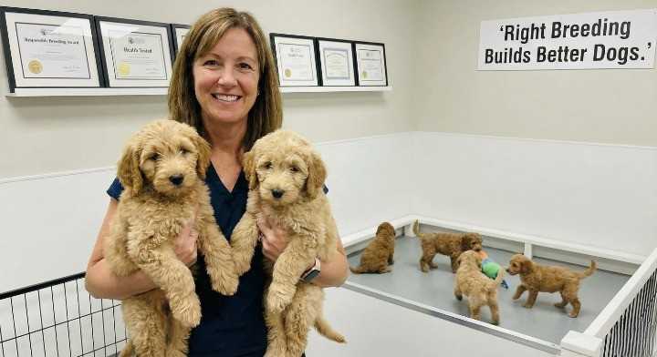 Choosing a Responsible Breeder