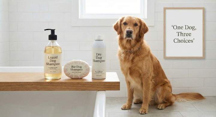 Liquid, Bar, and Dry Shampoos