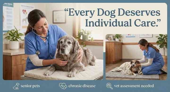 Special Cases and Medical Conditions